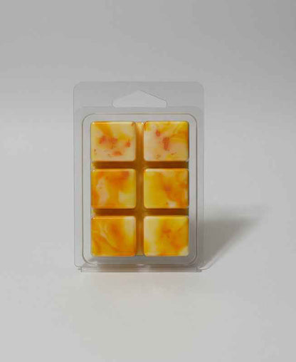 Fruit Slices Soy Wax Melts